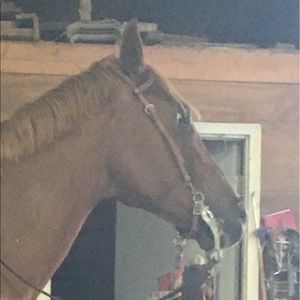 Meet your Posher, Lillia